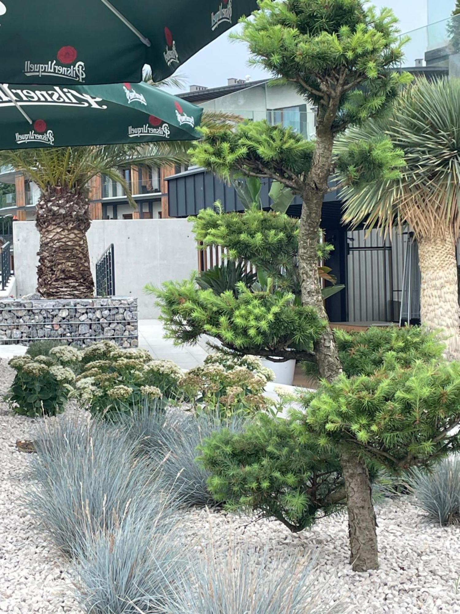 זאז'צ'ה Superior Laguna Beskidow 3 Rooms! Sauna&Gym! Air Condition! מראה חיצוני תמונה